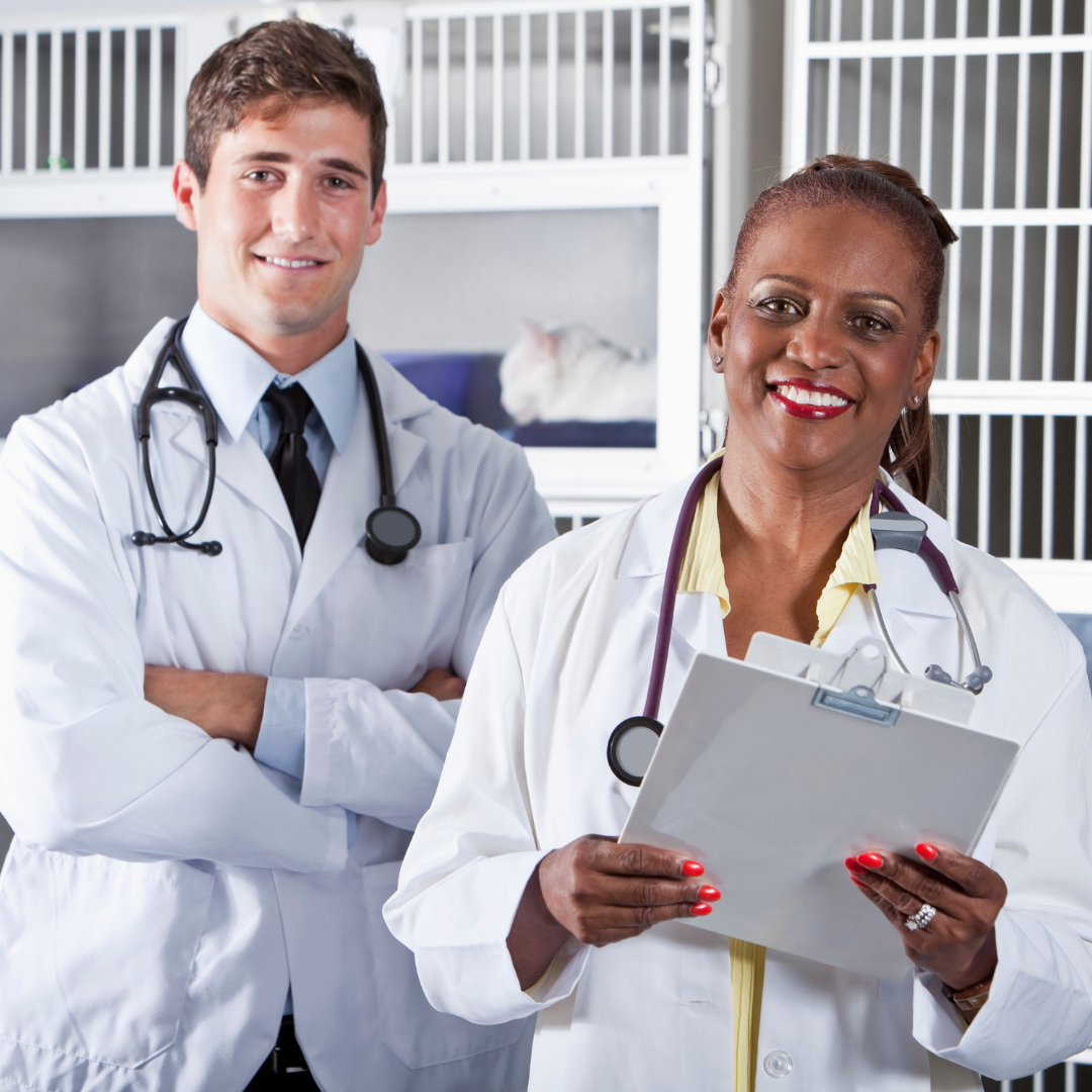 寵物診所空氣凈化器租賃 寵物診所空氣凈化器租賃