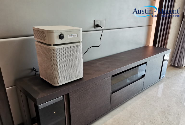 室內(nèi)裝飾建議用地毯嗎？環(huán)保材料是無甲醛嗎？